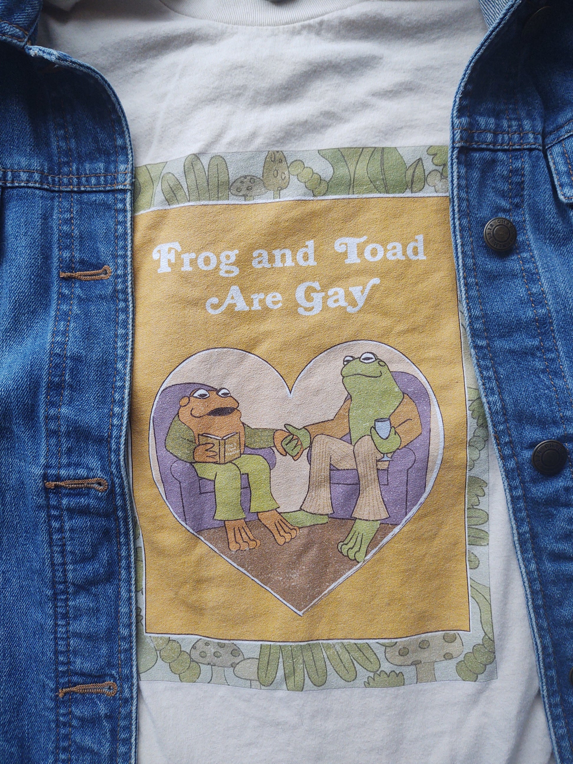 frog and toad shirt showing faux book cover with frog and toad holding hands with a denim jacket over