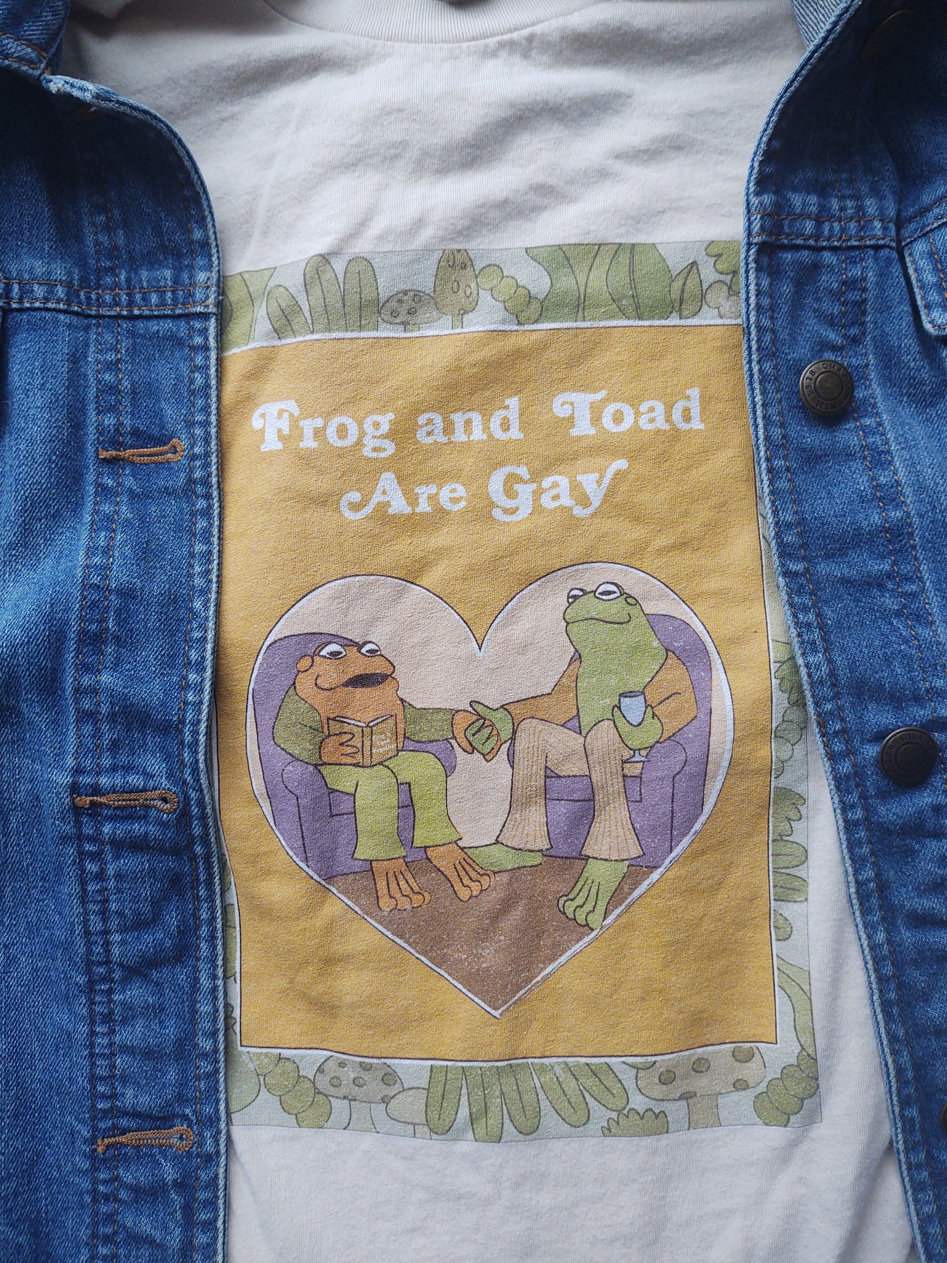 Frog and Toad Are Gay T-Shirt – Gay Nerd Goods