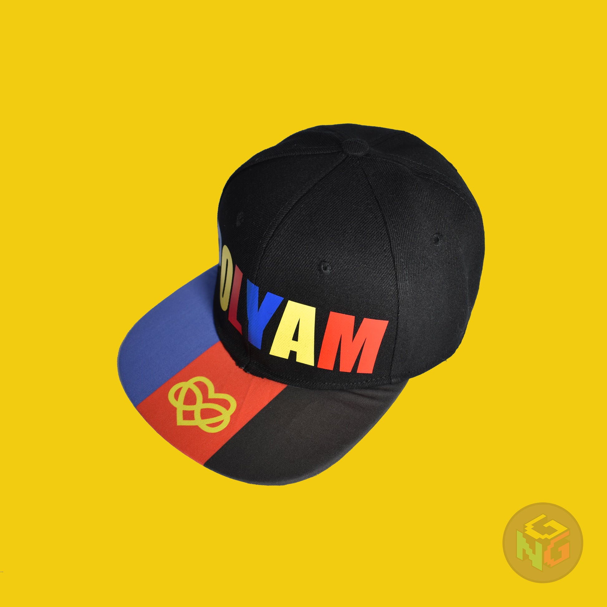 Black flat bill snapback hat. The brim has the polyamory pride flag with the heart infinity symbol on both sides and the front of the hat has the word “POLYAM” in red, yellow, and blue letters. Front left view
