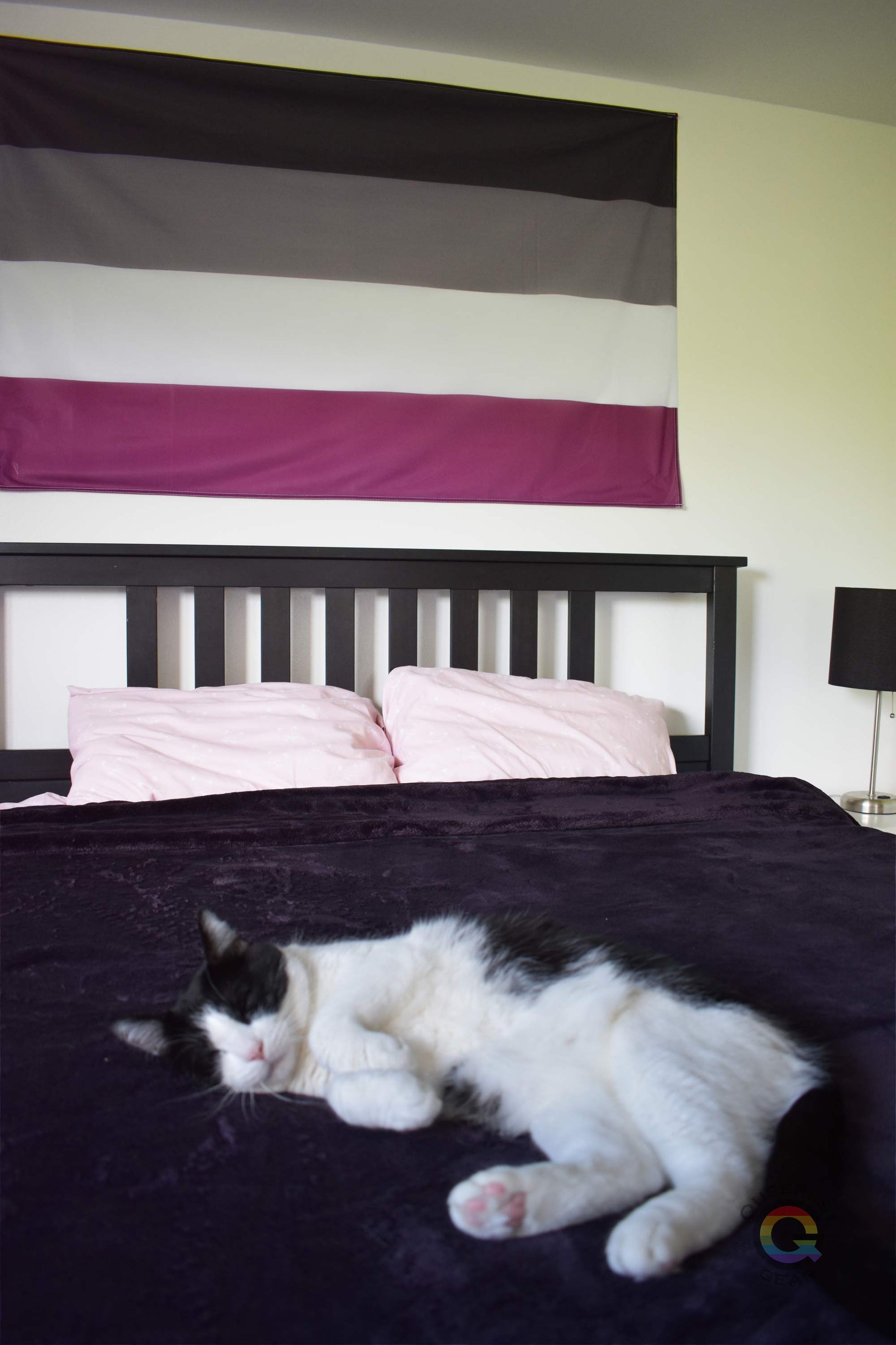 3’x5’ asexual pride flag hanging horizontally on the wall of a bedroom centered above a bed with a purple blanket. There is a black and white cat sleeping on the bed