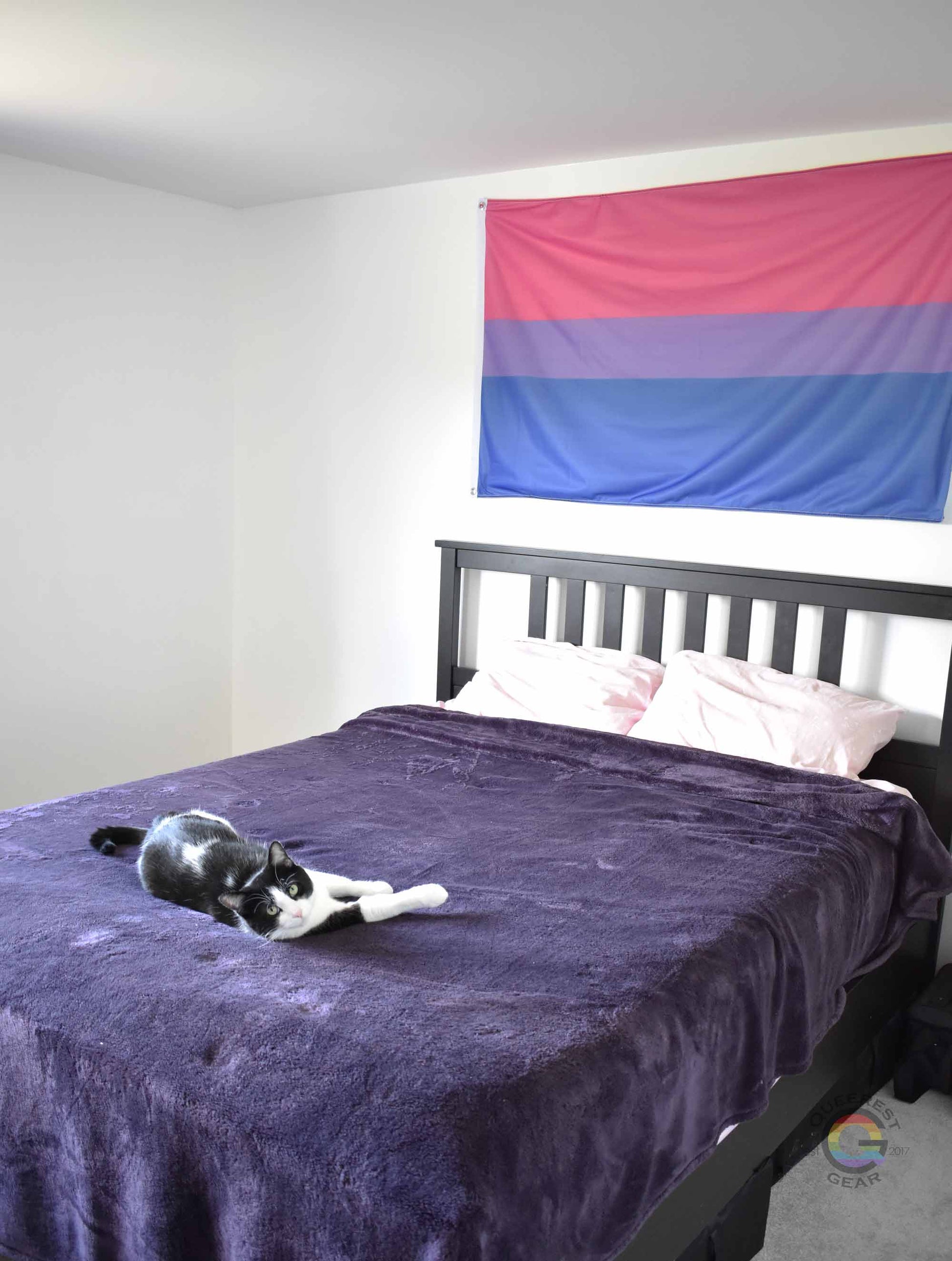 3’x5’ bisexual pride flag hanging horizontally on the wall of a bedroom centered above a bed with a purple blanket. there is a black and white cat laying on the bed